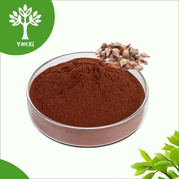Grape Seed Extract Powder Grape Seed Extract Powder
